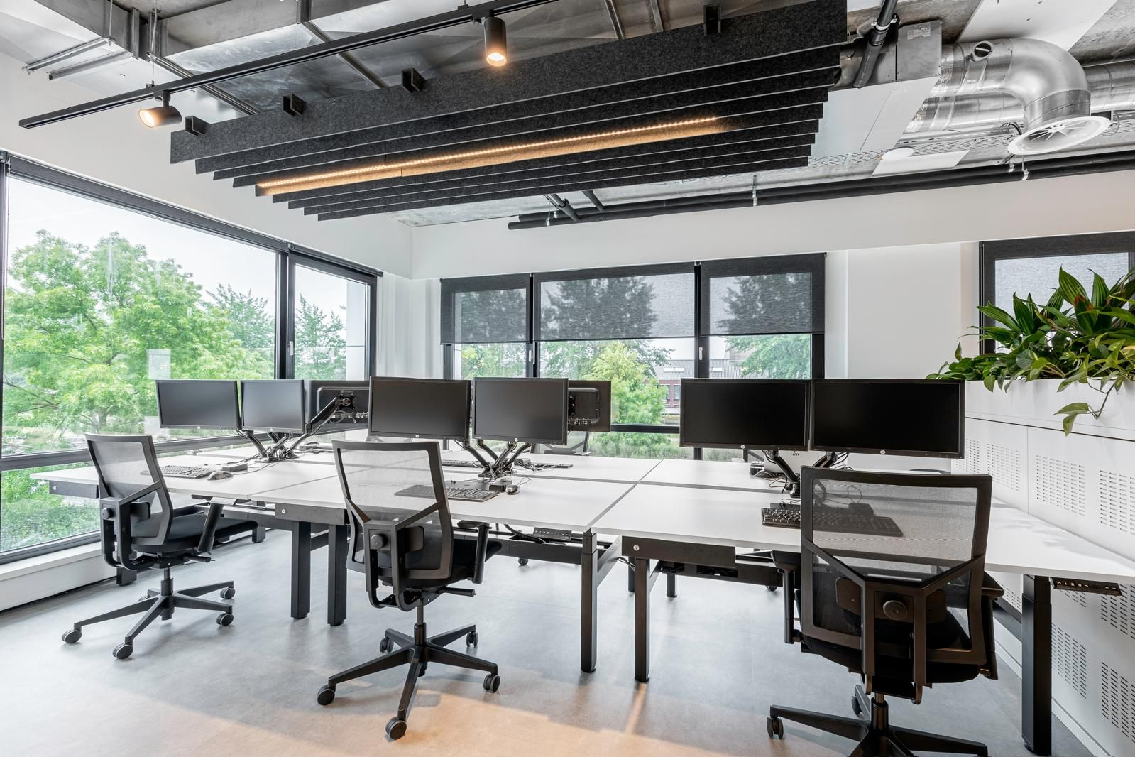 whatsapp image 2026 01 30 at 9.26.16 am.webp